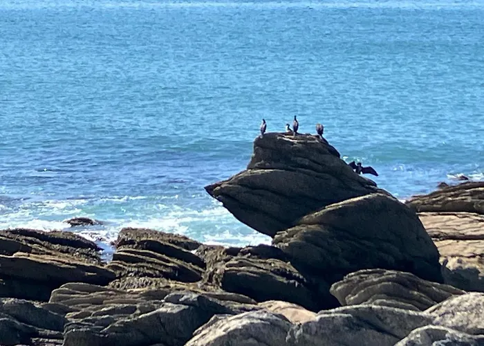 Kercady 2 au calme ,proche plages et centre ville